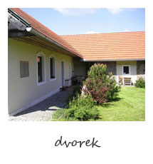 dvorek