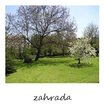 zahrada